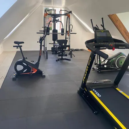 Maison Piscine Sauna Fitness Pickle Ball Salle Jeux Villa